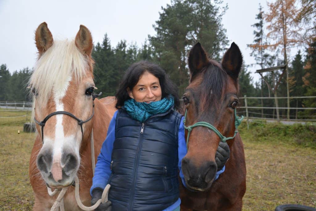 Ich stehe mit zwei unserer Pferde auf der Weide. Beide tragen Halfter ohne Gebisse. Sie sehen gespannt in die Kamera. Pferde sind meine Bestimmung.