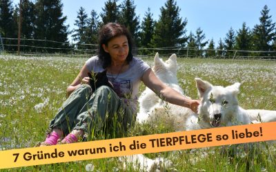 „7 Gründe, warum ich die TIERPFLEGE  so liebe!“