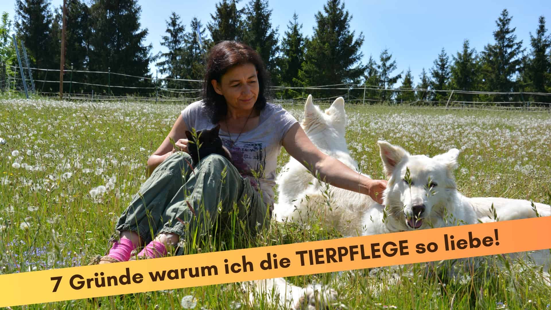 Marianne sitzt im Gras mit 2 Hunden einer Katze und einem Kaninchen