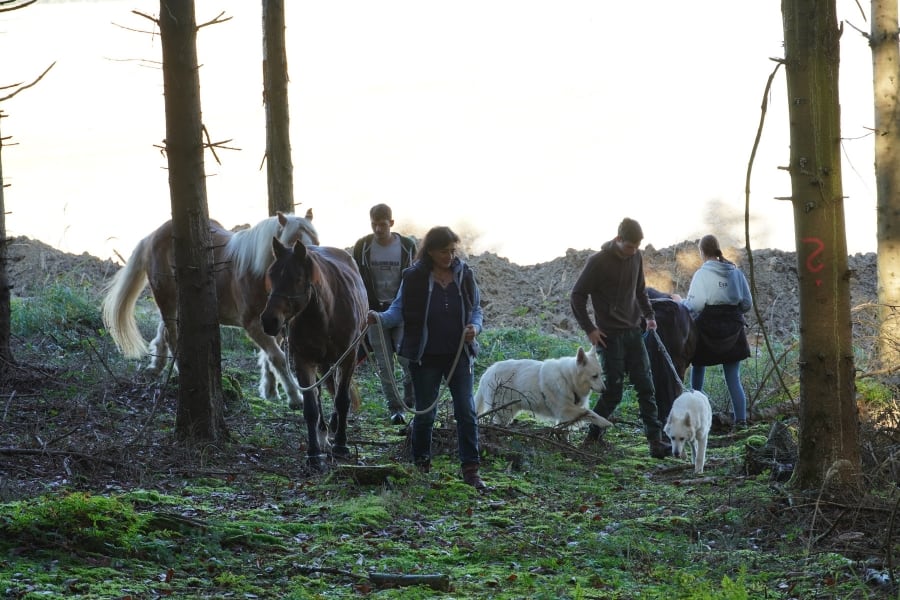 Marianne mit ihren beiden Söhnen und einer jungen Frau, 3 Pferden und 2 Hunden im Wald