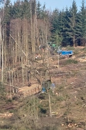 2 Harvester reißen den Wald ab und ein Lastwagen transportiert die Stämme ab, die arme Natur