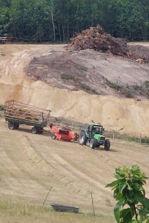 Schlepper mit Heupresse und Heuanhänger fahren auf der Hofkoppel