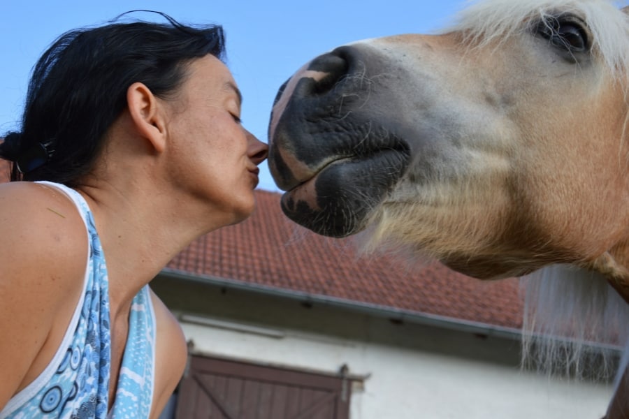 Marianne Nase an Nase mit dem Haflinger