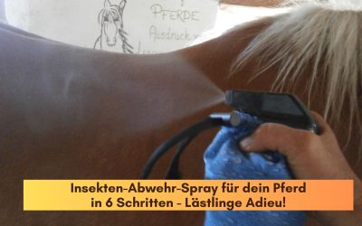 Natürliches Insektenabwehrspray für dein Pferd