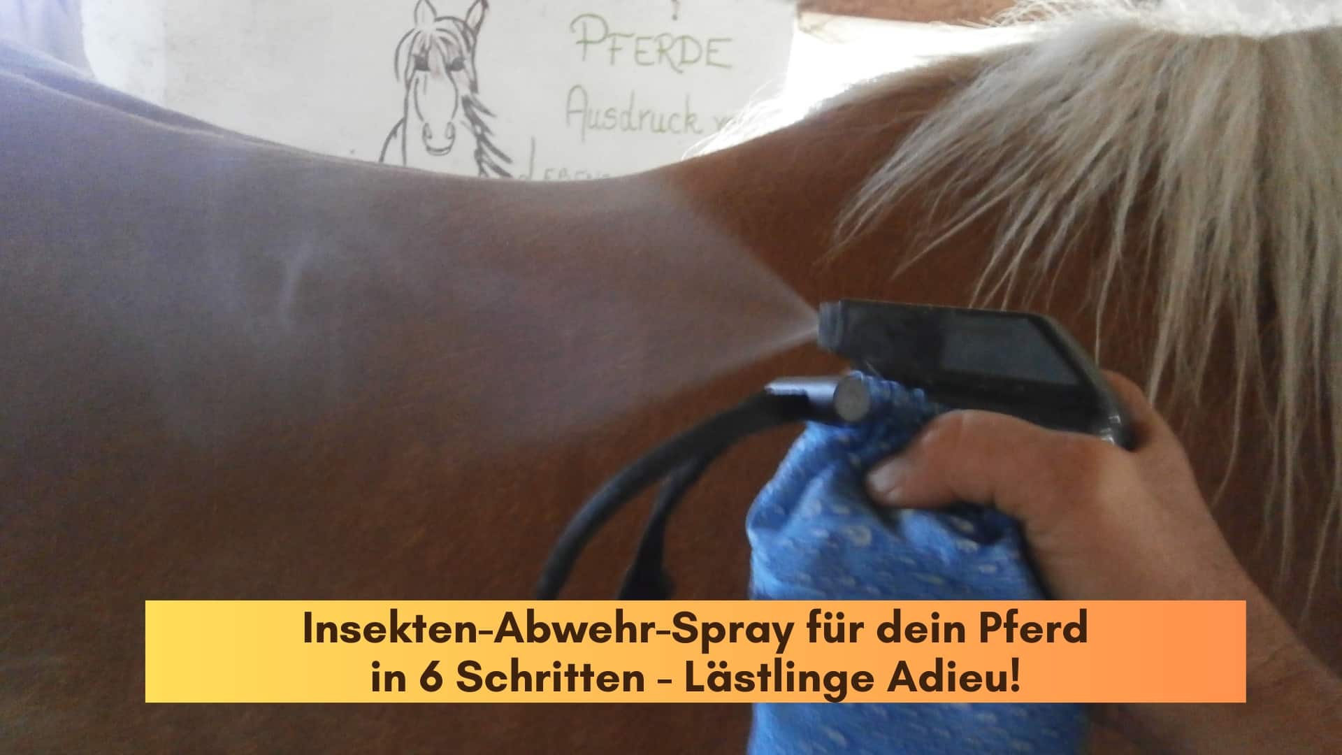 Jemand sprüht Pfefferminzspray auf den Rücken eines Pferdes