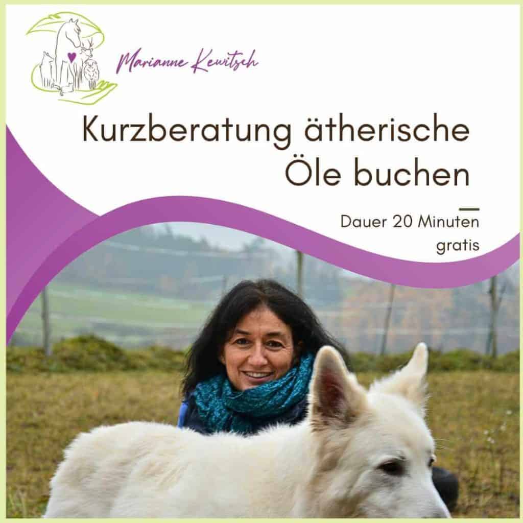 Teaser für eine Kurzberatung über ätherische Öle. Marianne mit einem weissen Schäferhund auf dem Foto