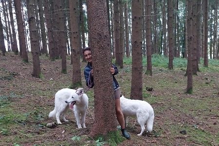 Magie im Wald. Marianne spickelt hinter einem Baum im Wald hervor links und rechts die weißen Schäferhunde