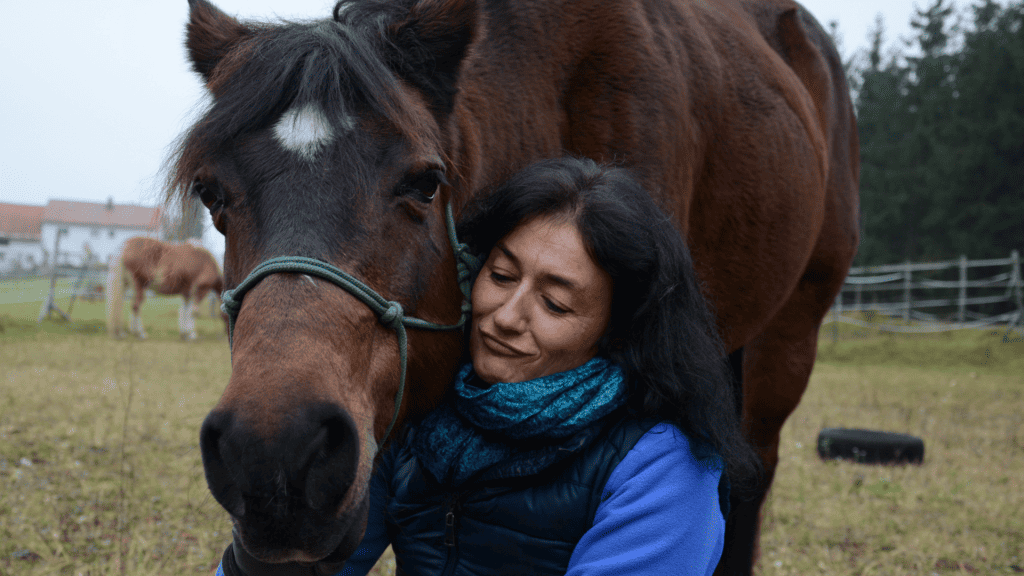 Braunes Pferd schmust  mit Marianne. Meine fun facts über mich im Artikel.