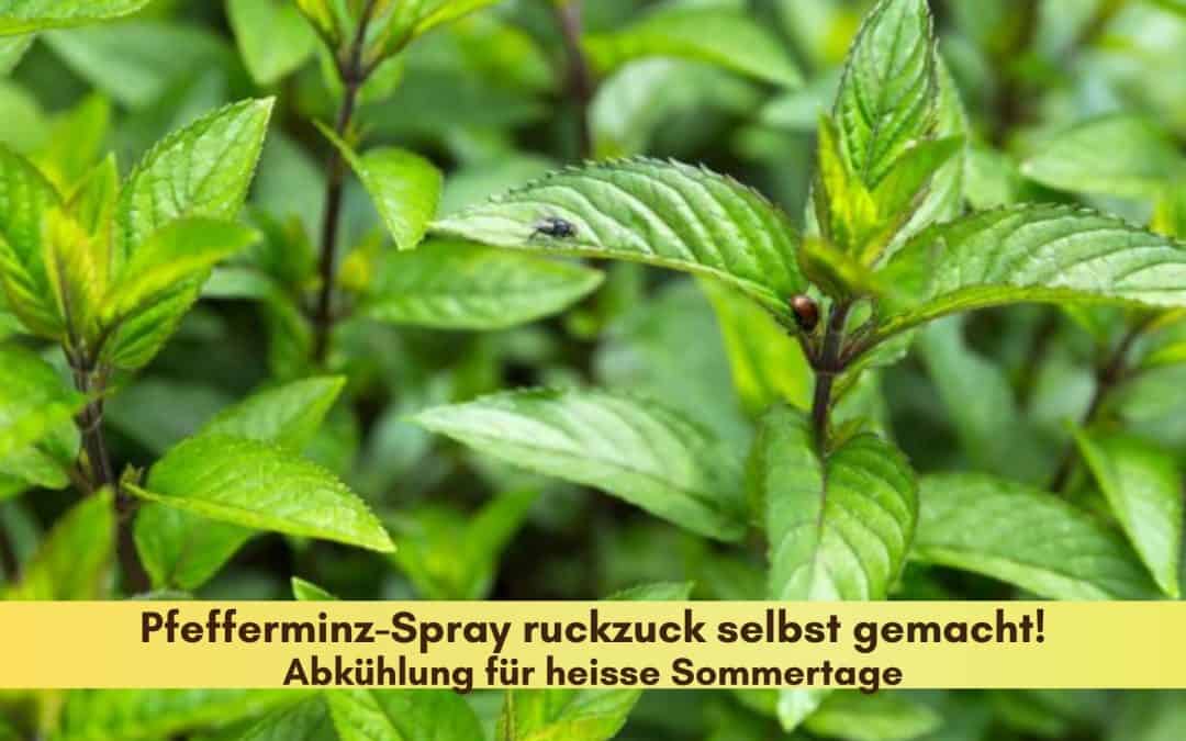 Bestes Frische-Kick-Spray mit Pfefferminze für Mensch + Tier