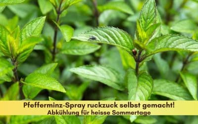 Bestes Frische-Kick-Spray mit Pfefferminze für Mensch + Tier