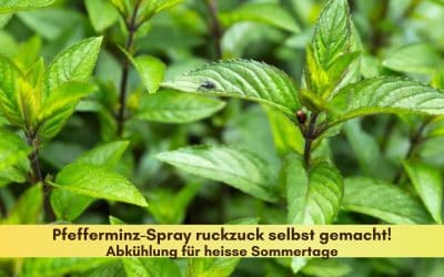 Bestes Frische-Kick-Spray mit Pfefferminze