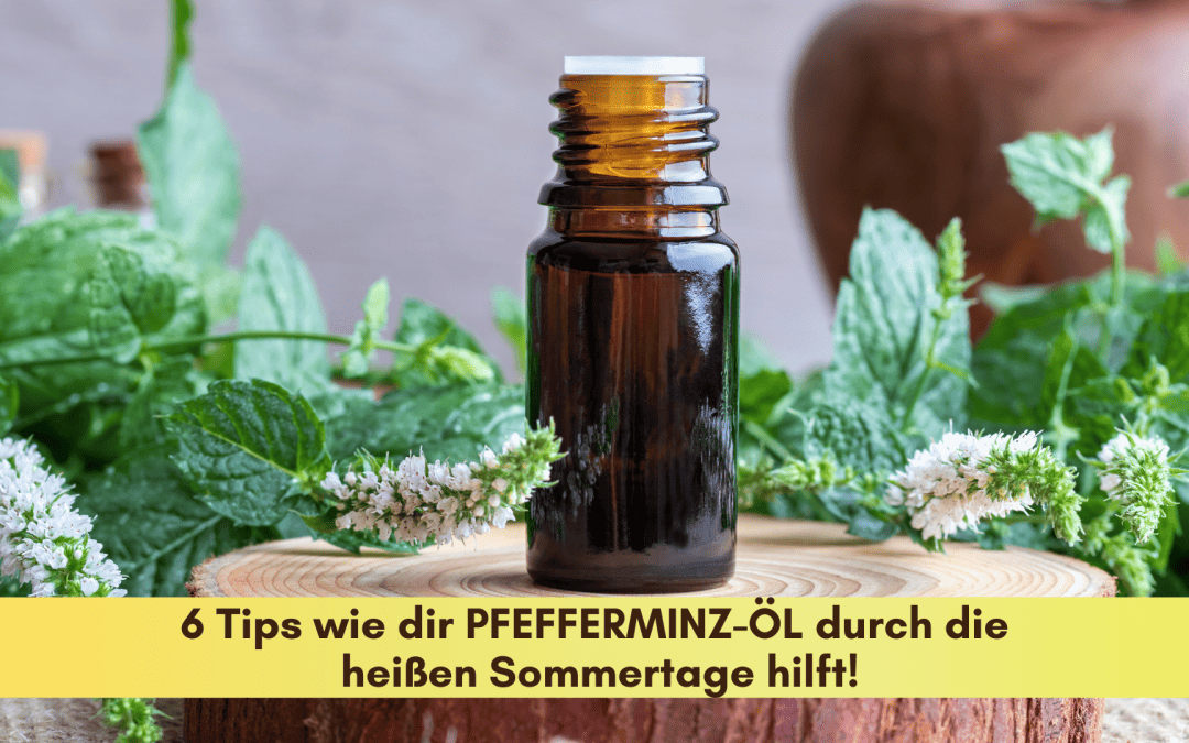 6 Tipps, wie dir PFEFFERMINZE durch die heißen Sommertage hilft!