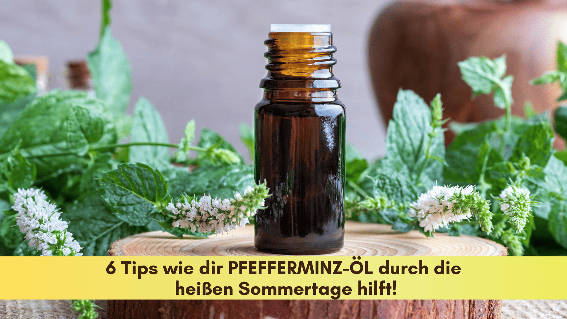 Eine Flasche Pfefferminzöl mit frischen Pfefferminzzweigen drumherum