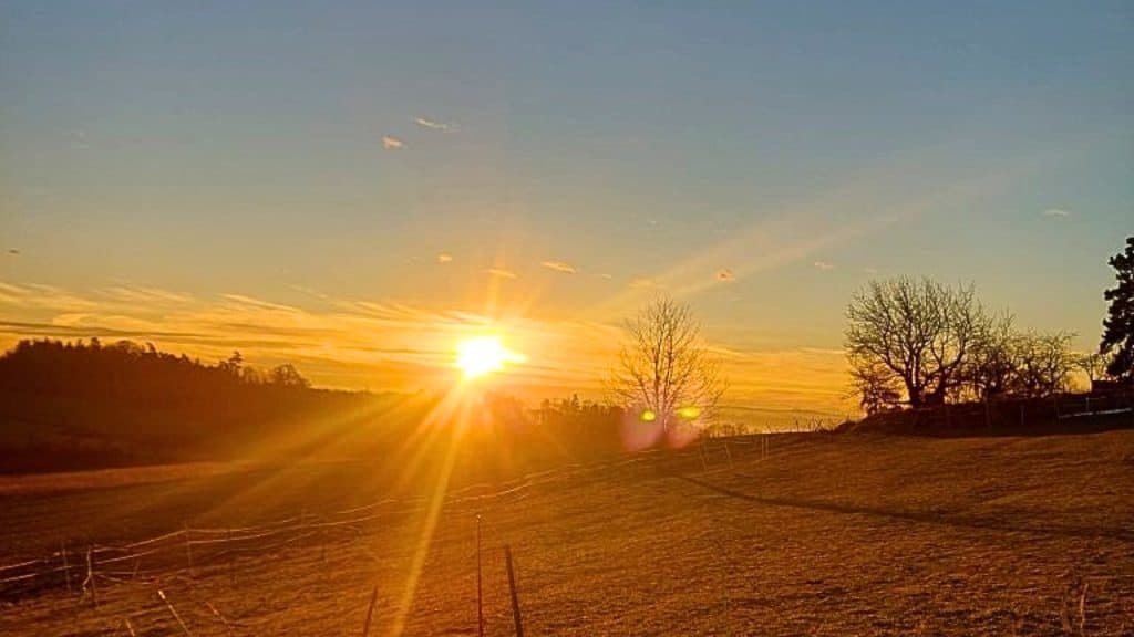 Sonnenaufgang am Stall