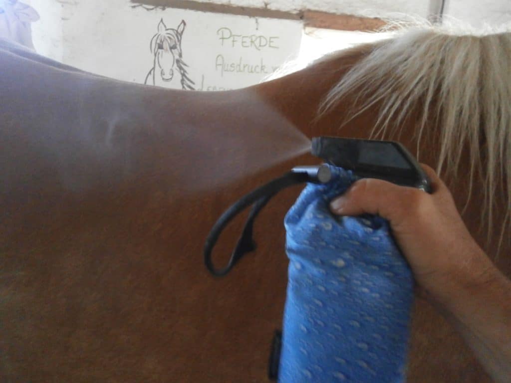 Pferd wird mit Fliegenspray besprüht.