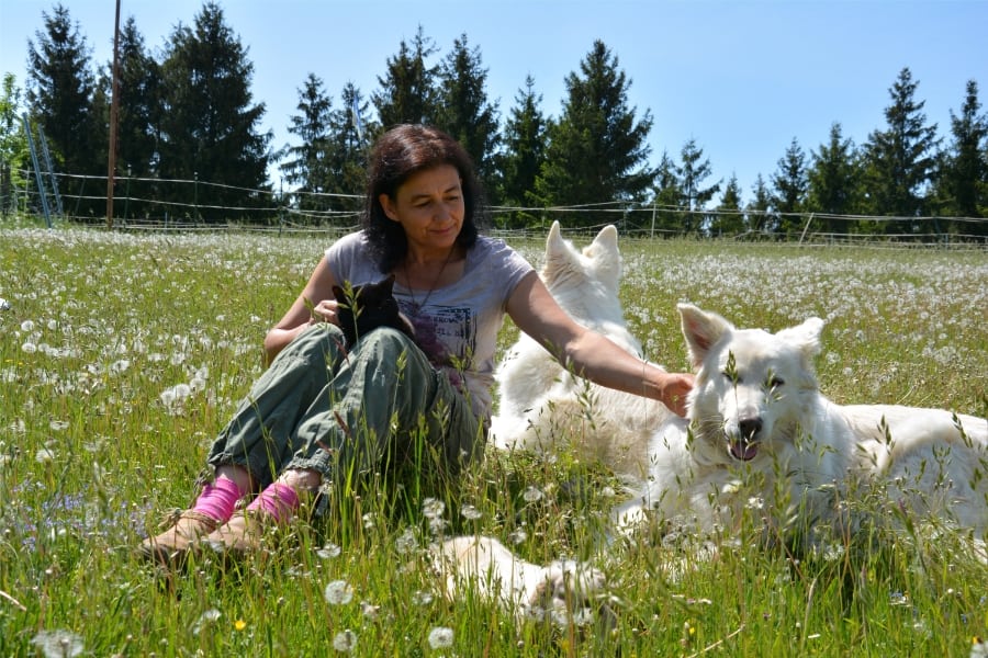 Marianne sitzt auf der Wiese  mitten in der Natur, um sie herum die Tiere. Schäferhunde, ein Kaninchen und der Kater