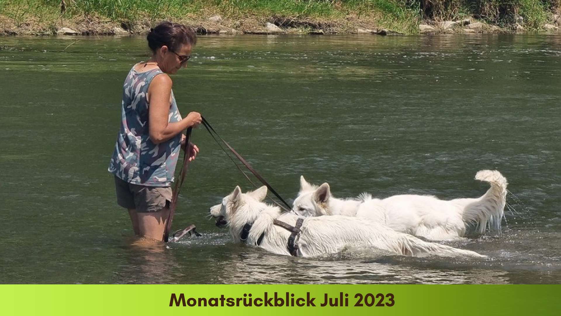 Marianne mit den beiden Hunden in der Isar