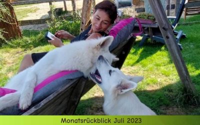 Monatsrückblick Juli 2023