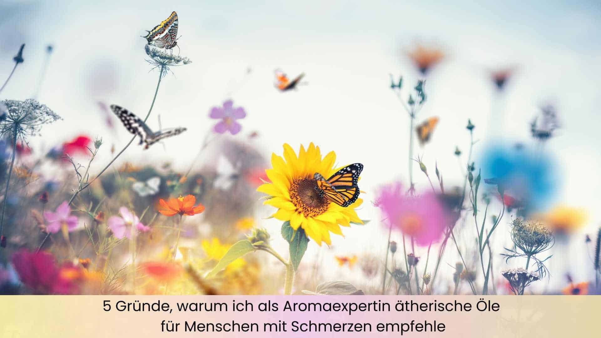 Fröhlich bunte Blumenwiese mit Schmetterlingen