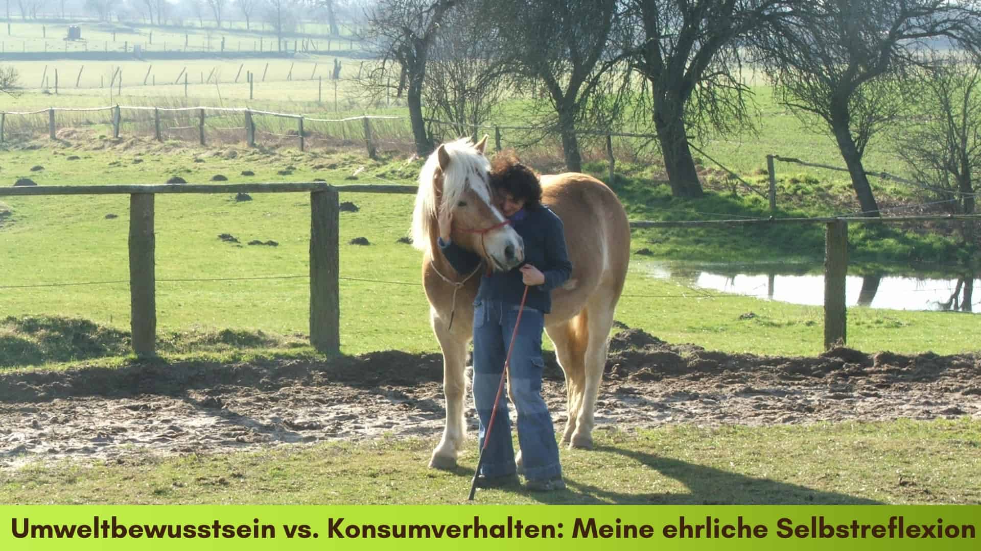 Marianne kuschelt mit dem Haflinger Kopf an Kopf