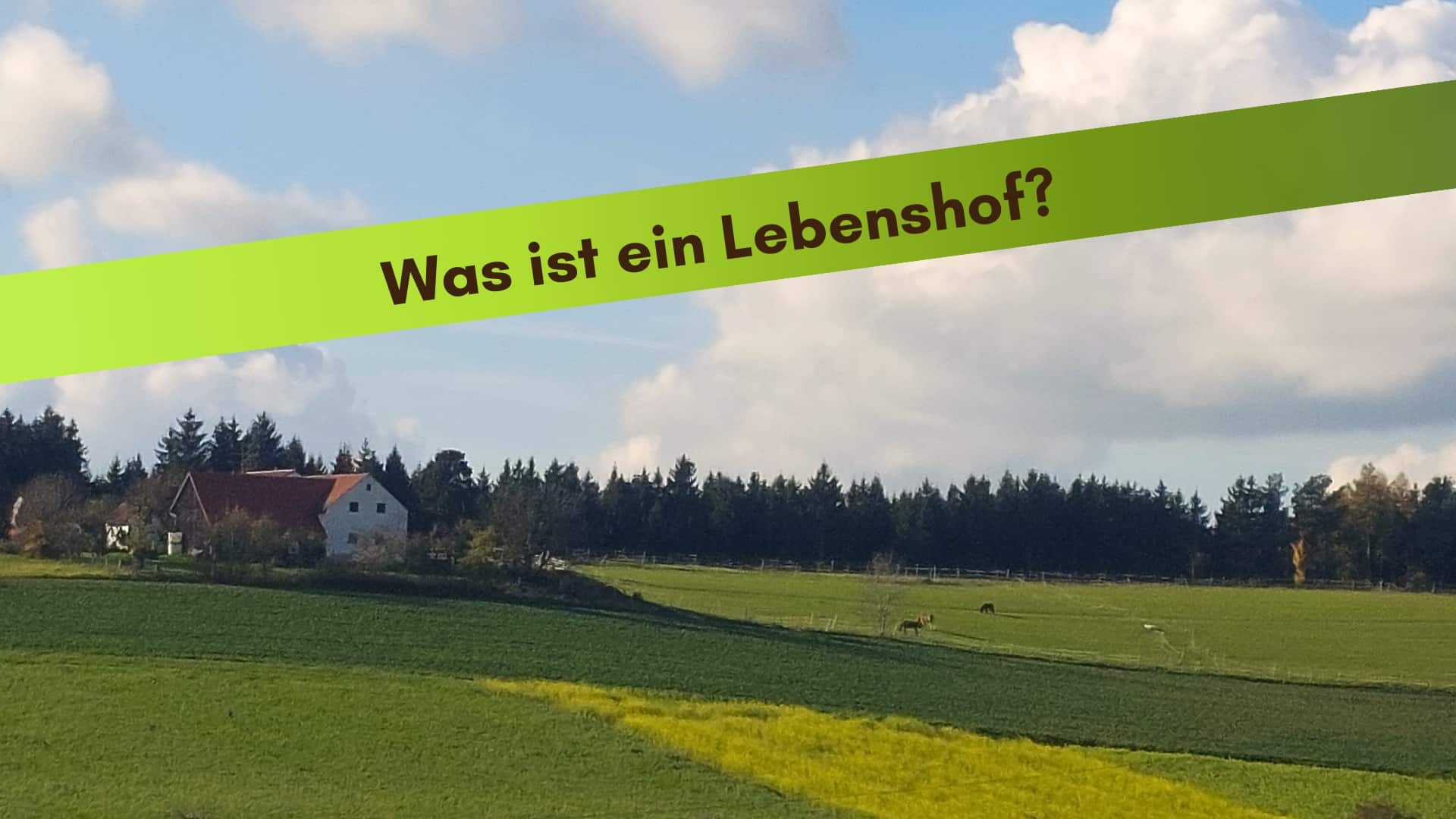 Blick aus der Ferne auf den Lebenshof Naturreich und die Weiden mit den Pferden