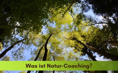 Was ist Natur-Mentoring