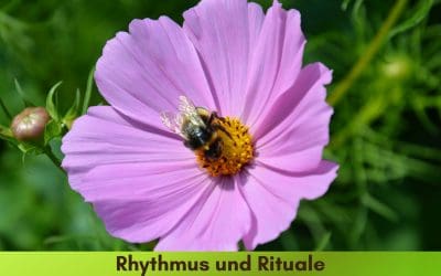 Rhythmus und Rituale für das Leben – wozu?