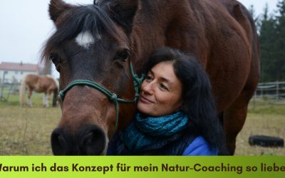 Warum ich das Konzept für mein Natur-Mentoring so liebe!