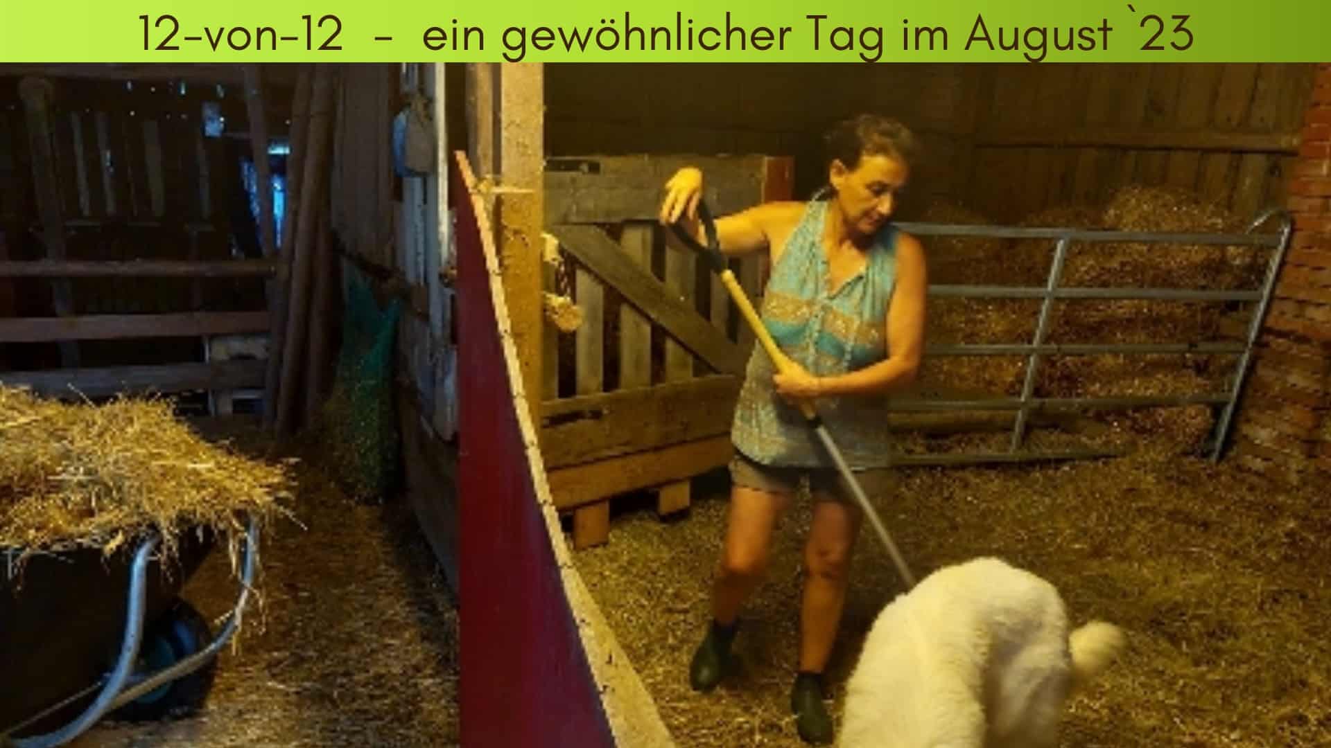 Marianne bei der Stallarbeit im Pferdestall