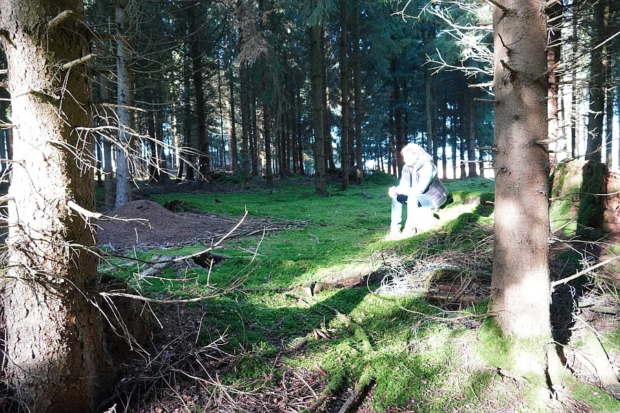 Marianne sitzt auf einem Baumstumpf im Wald