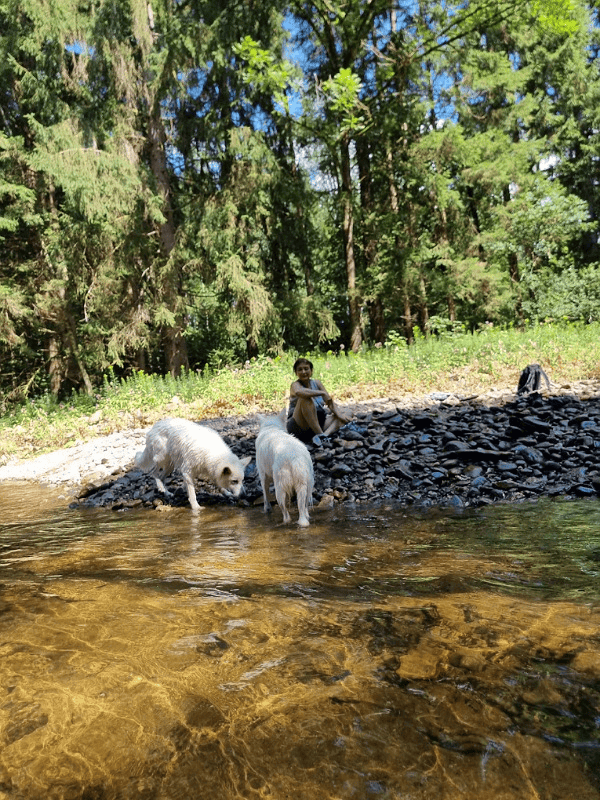 Marianne mit den Hunden am Bach im Bayrischen Wald.