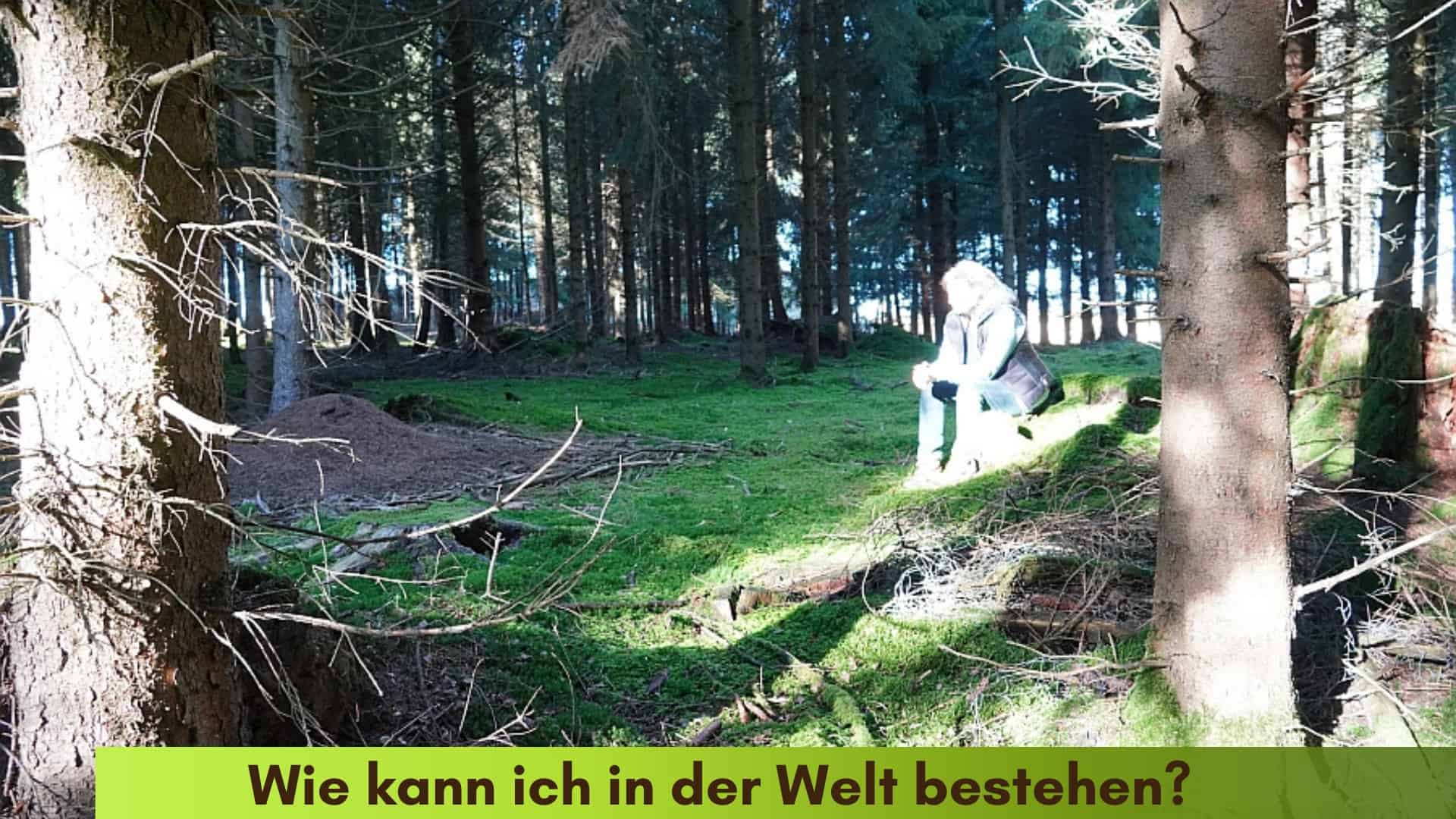 Marianne sitzt auf einem Baumstumpf im Wald im Lichtstrahl