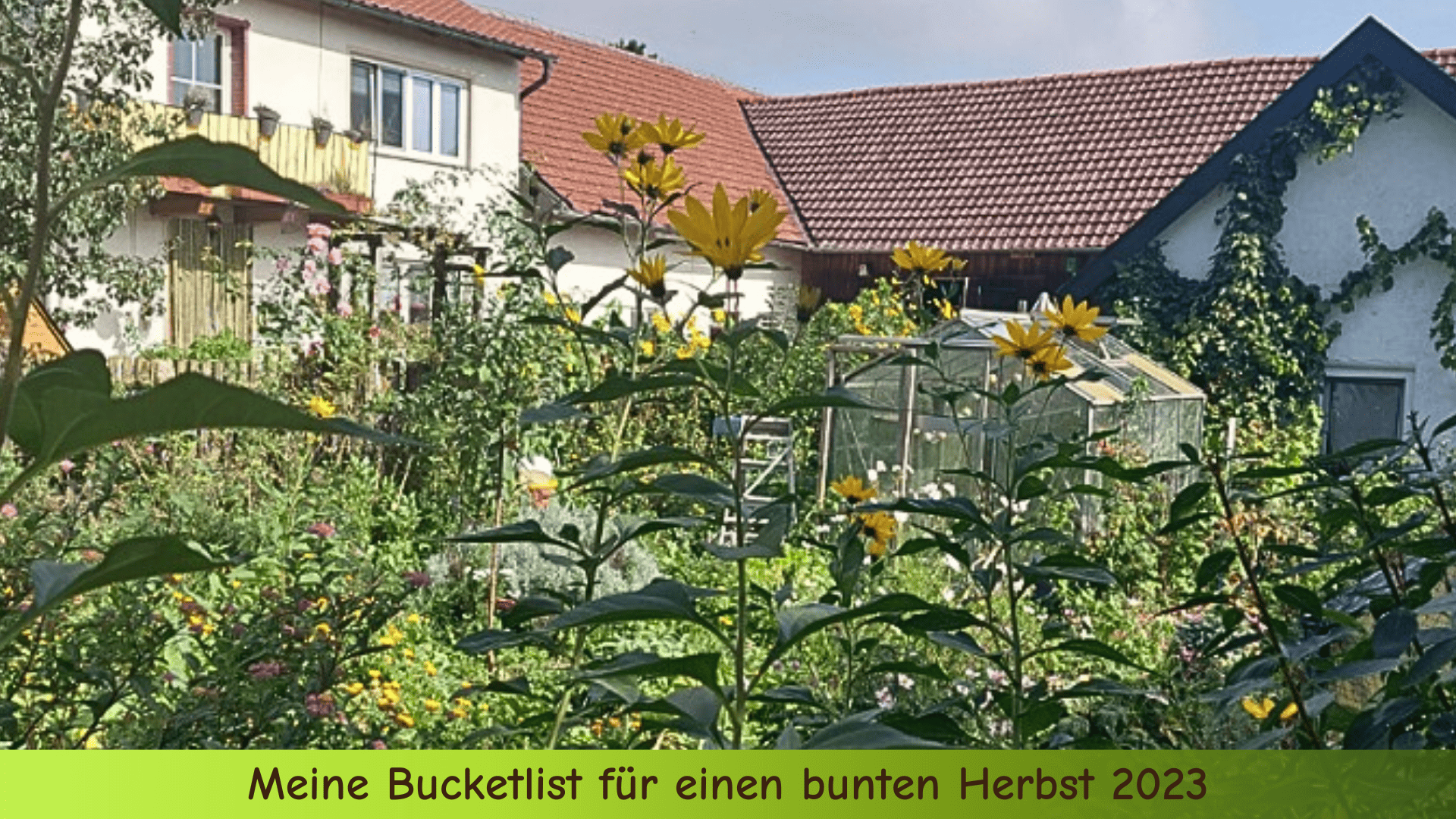 Mein verwilderter Baunergarten in diesem Herbst