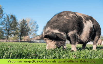 Veganisierungs(R)EVOLUTION als ganzheitliche Befreiung für Mensch, Tier und Natur