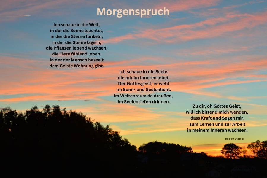 Sonnenuntergang am Wald mit rosa und hellblau und darauf der Morgenspruch von Rudolf Steiner