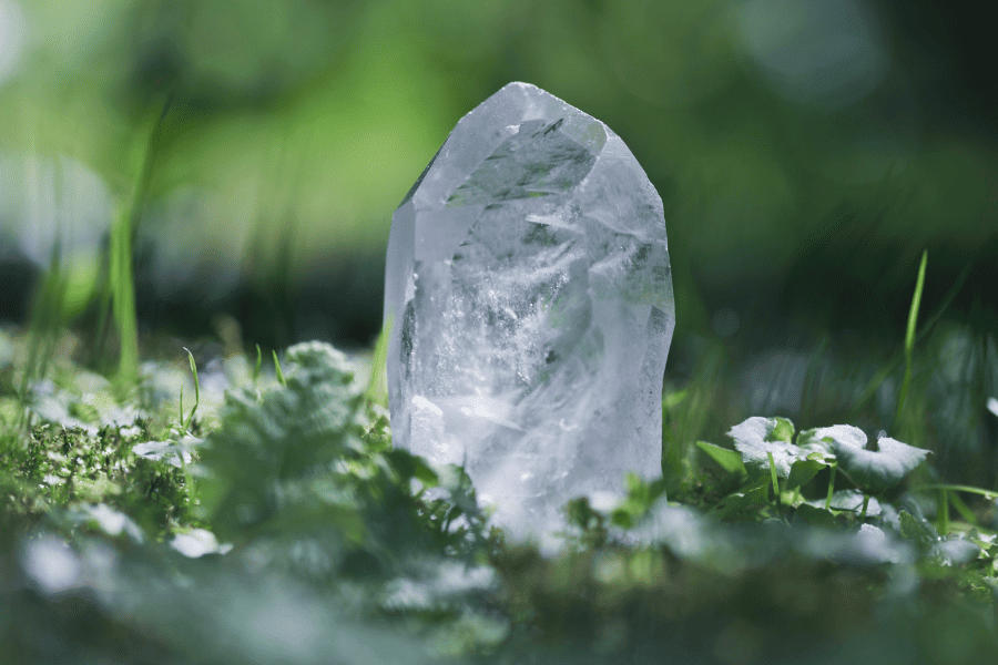 Bergkristall in der Wiese