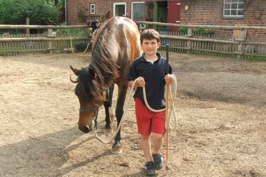 ein kleiner Junge führt souverän das braune Pferd an einem durchhängenden Seil