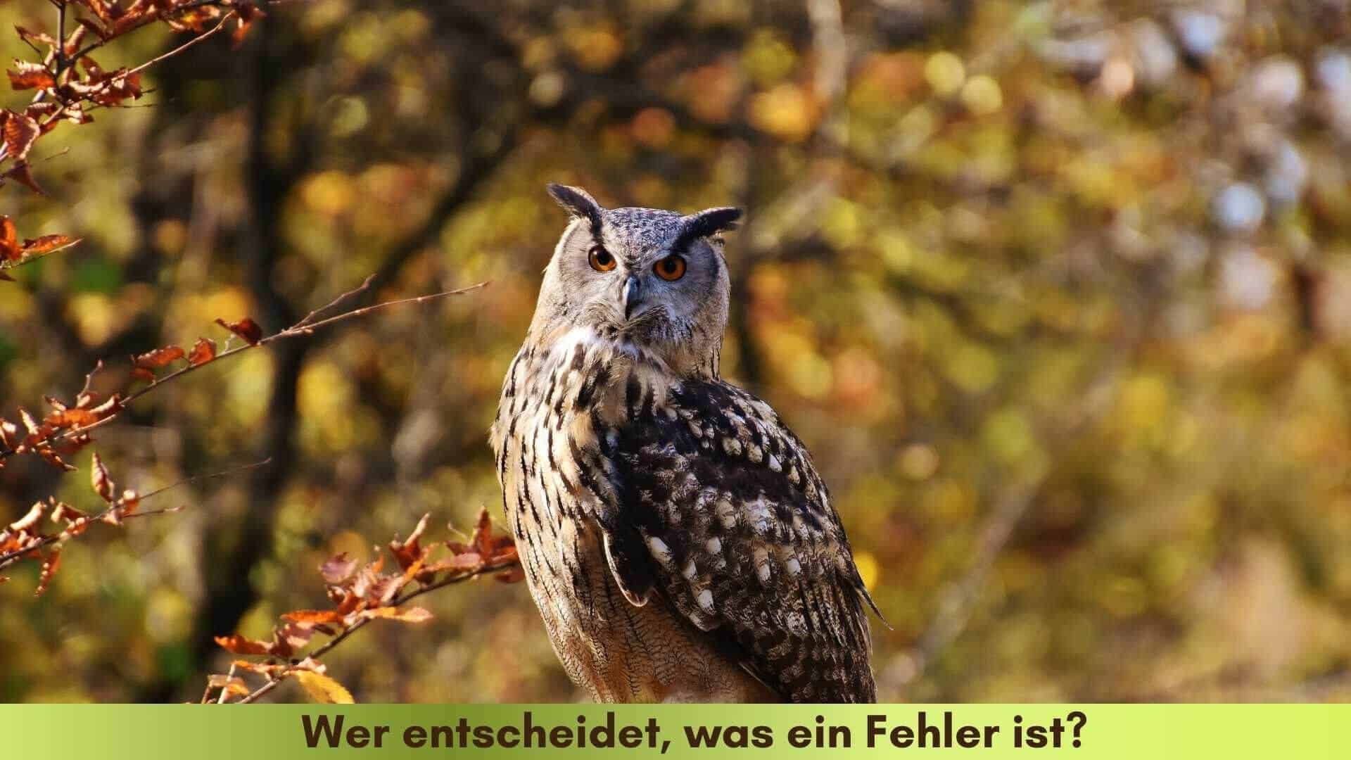 Eule im Herbstwald