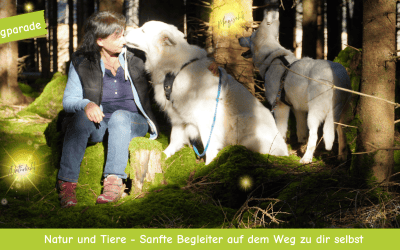 Blogparade: Natur und Tiere – Sanfte Begleiter auf dem Weg zu dir selbst