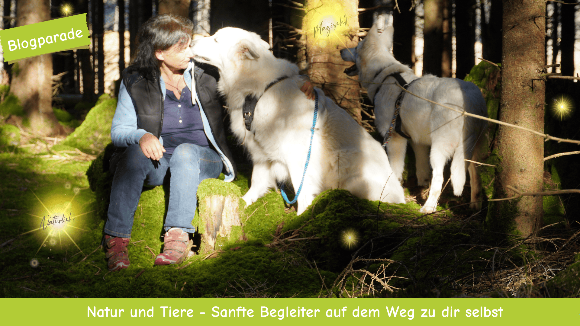 Marianne in einer Waldlichtung mit den zwei weißen Schäferhunden