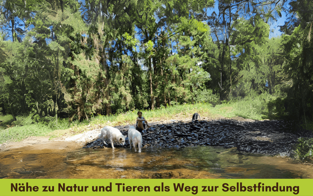 Natur und Tiere: Dein Weg zur Selbstfindung und zur eigenen SigNATUR
