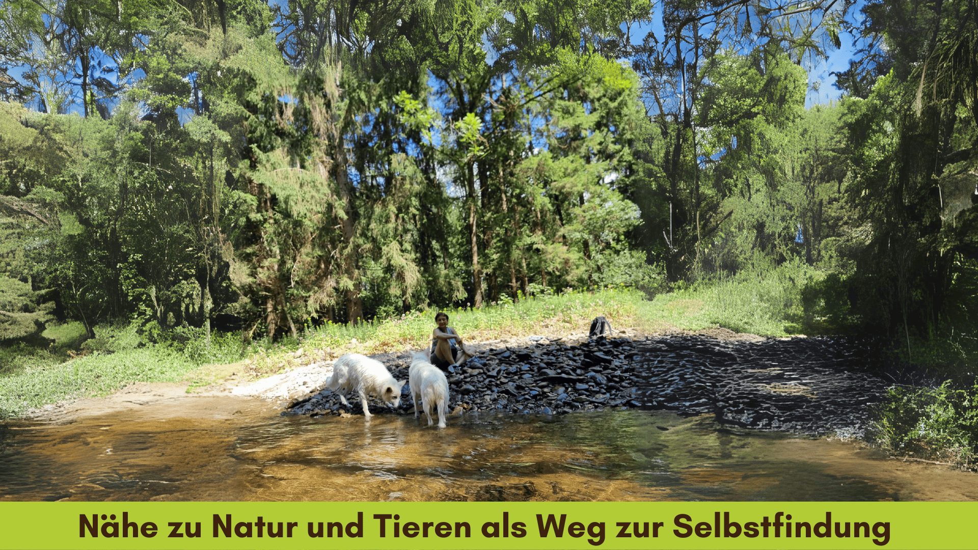 Marianne im Wald an einem Bach mit den Hunden