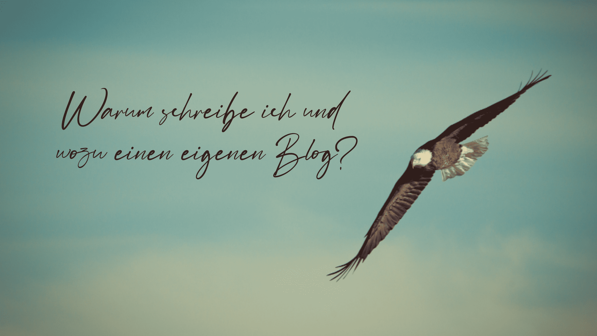 Ein Adler schwebt am Himmel