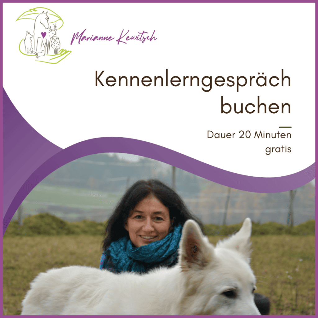 Finde im Gespräch heraus, ob wir kompatibel sind. Nutze die geniale Chance unserer Zusammenarbeit für positive Kraft.  Auf dem Foto Teaser Marianne mit weißem Schäferhund