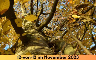 12-von-12 Rückblick im November 2023