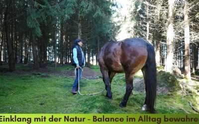 Im Einklang mit der Natur leben und die Balance im Alltag bewahren