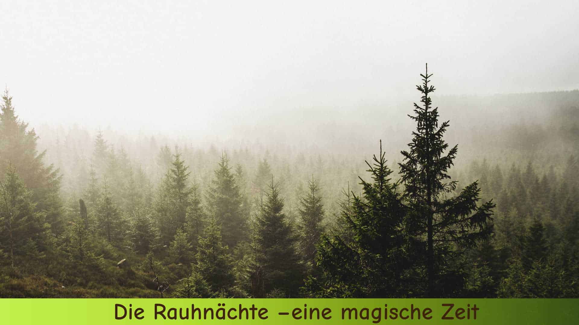 Wald im Nebel