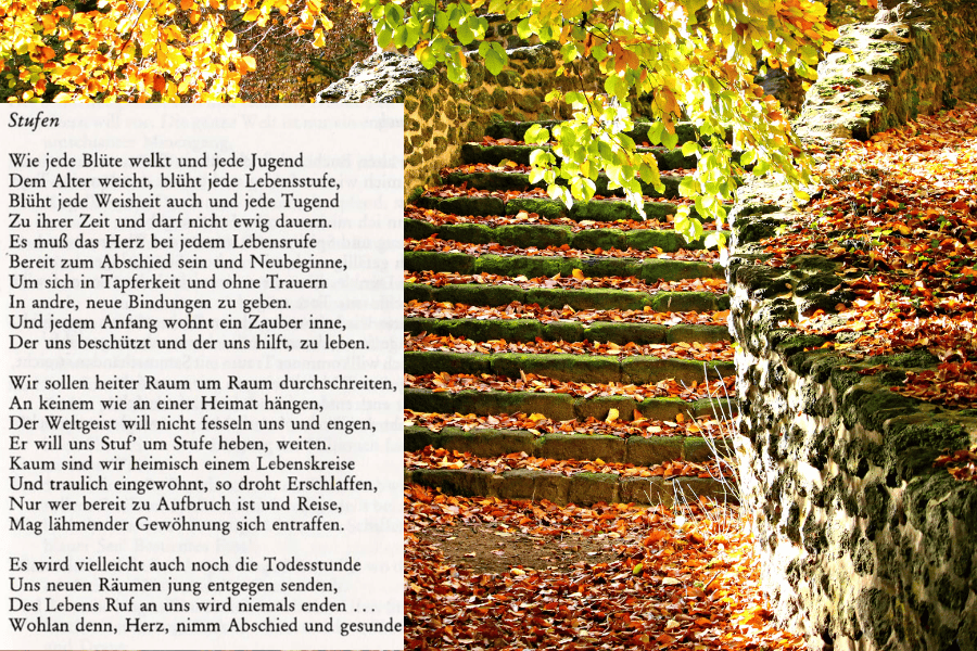 Text von Hesses Stufen auf einem Foto mit Stufen im Herbstlaub