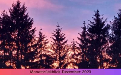 Monatsrückblick Dezember 2023