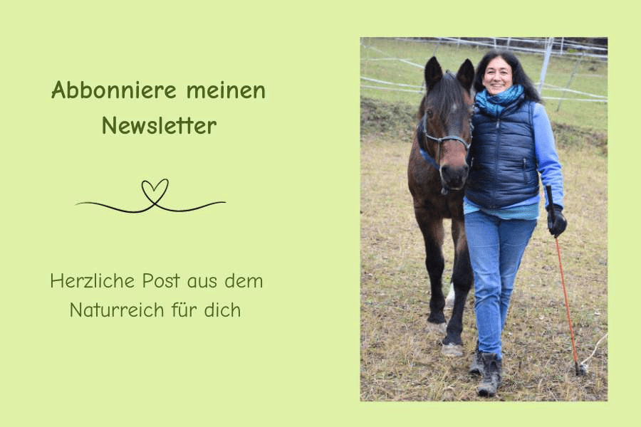 Newsletterteaser mit Foto von Marianne und Pferd
